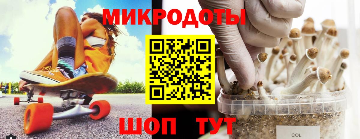 Псилоцибиновые грибы мухоморы Советский
